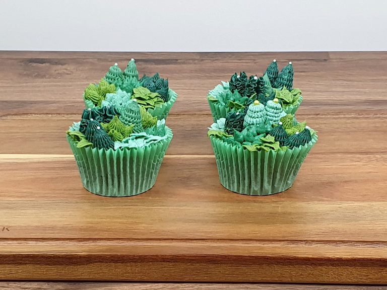 Succulent Cup Cakes